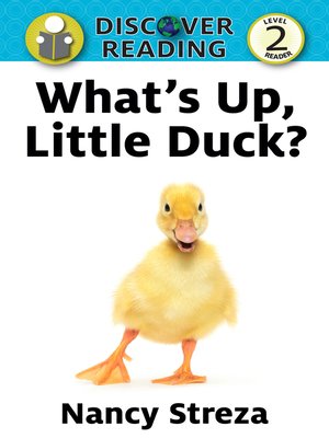 cover image of What's Up Little Duck